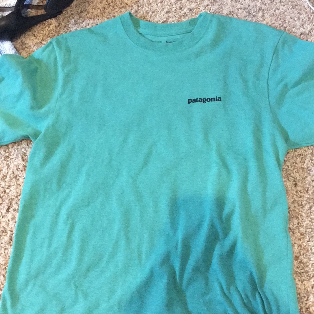 Patagonia T-shirt